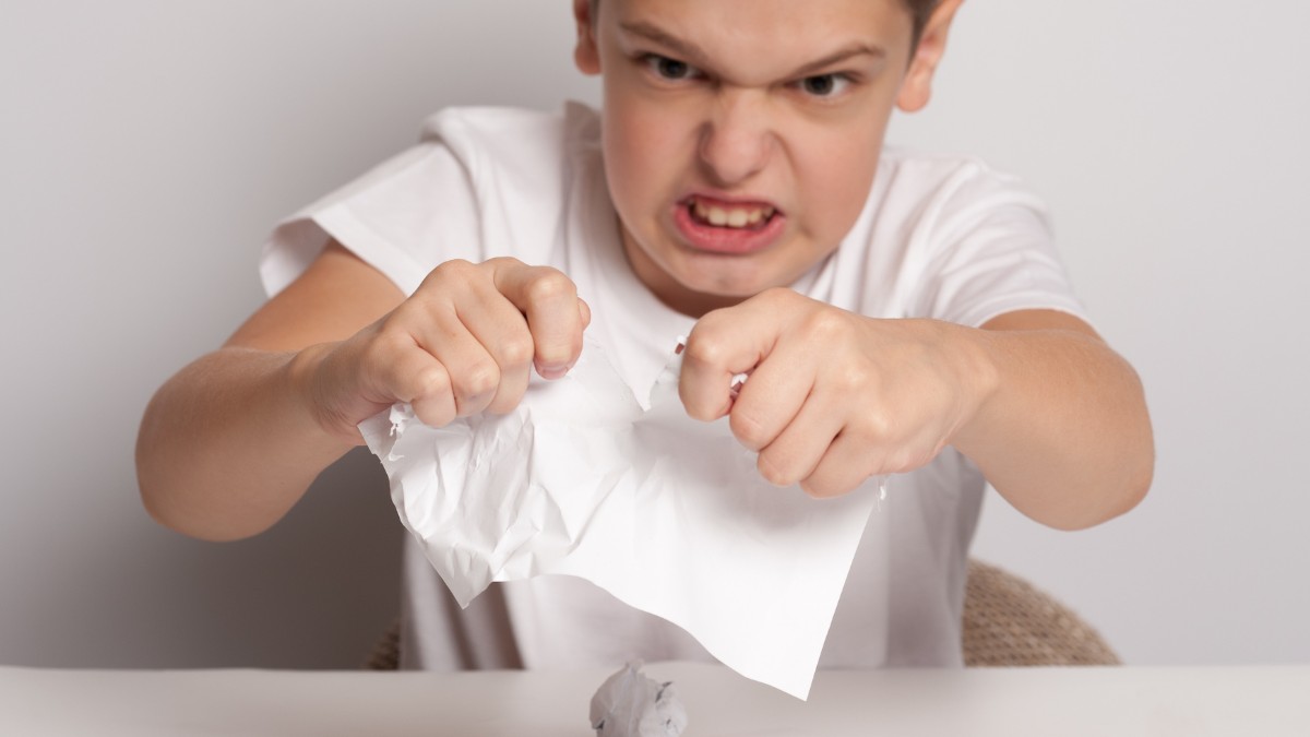 autism rage cycle