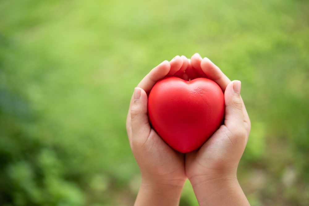 From Diagnosis to Empowerment: A Parent’s Inspiring Journey with Autism and How You Can Find Support Too